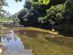-西安祥峪森林公园