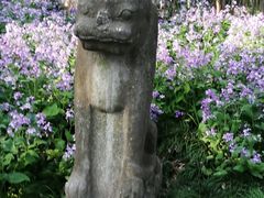 -亭林园-华藏寺