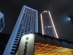-南京金陵饭店