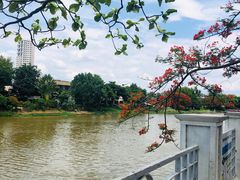 -瓦洛洛传统市场