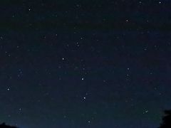 -武陵山森林公园