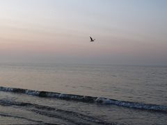 -北戴河东海水浴场