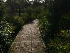 -洨河生态公园