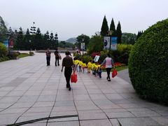 -德慧泉全脑潜能开发教育发展中心