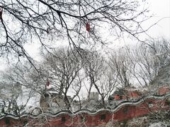 -句容茅山景区