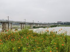 -绿堤公园