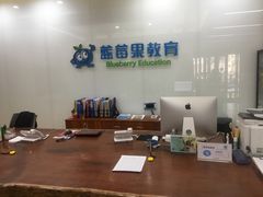 -蓝莓果幼儿园(通州梨园店)