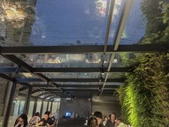 -巴厘龙虾·榜首油焖大虾(洞庭·艺术洋房店)