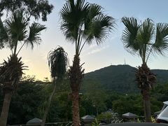 -御景酒店