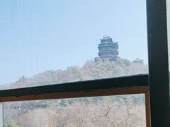 -七欣天香辣蟹火锅(南京建宁路大观天地店)
