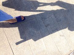 iphone_upload_pic-灵山莲花公园-温泉度假区