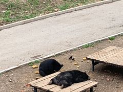 -大连森林动物园