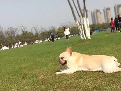 -映月湖中央公园