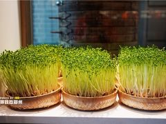 -千稻剁椒大鱼头(CityOn熙地港店)