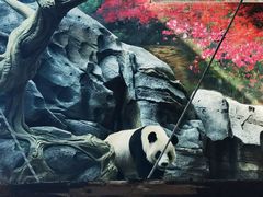 -武汉动物园