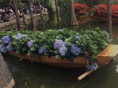-深圳仙湖植物园
