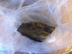 -阊门姚记豆浆(旧学前直营店)
