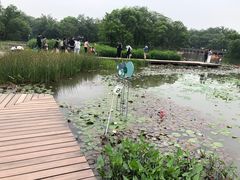 -西溪国家湿地公园