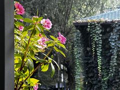 -北京水岸山吧度假村(雁栖镇店)