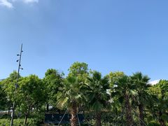 -宝安西湾红树林湿地公园