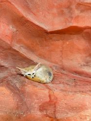 -Zoolung Zoolung动物主题公园(海信广场店)