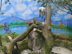 -杭州野生动物世界