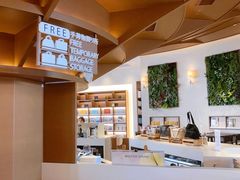 -三井奥特莱斯购物城(木更津店)