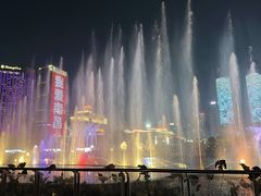 -秋水广场音乐喷泉