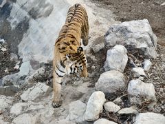 -石家庄市动物园