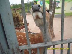 -鄂尔多斯野生动物园