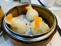 -糖朝(尖沙咀店)