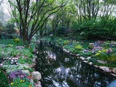 -上海共青森林公园