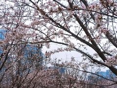 -西北湖绿化广场