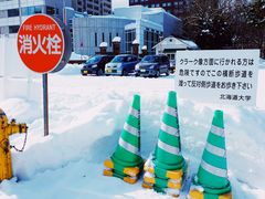 -北海道厅旧本厅舍(旧本庁舎)