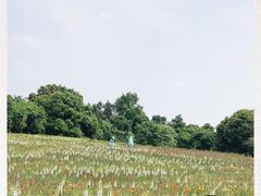 -保利石象湖景区