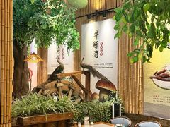 -大理董·董家小厨野生菌火锅(古城旗舰店)