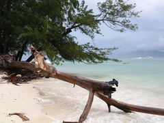 -东姑阿都拉曼海洋公园