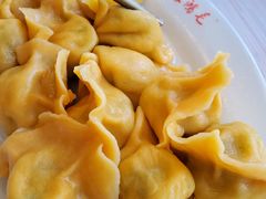 -鸿毛饺子(西直门店)