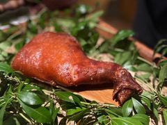 -蝶舍·MAISON PAPILLON