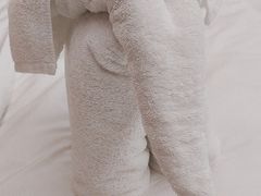 -西双版纳安纳塔拉度假酒店