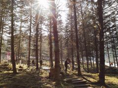 -硗碛藏寨·神木垒景区