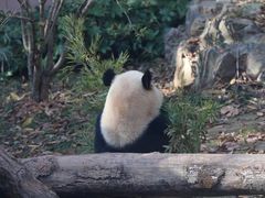 -杭州动物园