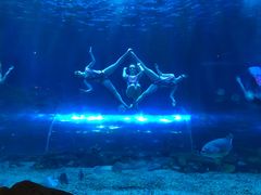 -华夏文旅海洋公园