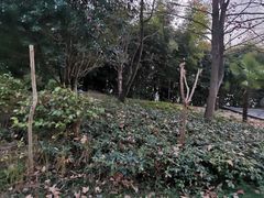 -山湖温泉