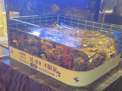 -雍容荟帝王蟹活龙虾展台自助(IFS黑金店)