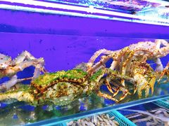 -船梆煮•蒸汽海鲜·炉火烤肉(五四广场店)