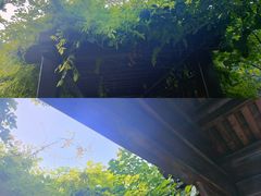 -三里河公园