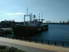 -台场一丁目商店街