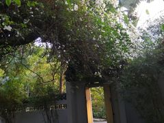 -深圳国际园林花卉博览园