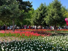 -长春公园(普阳街道)